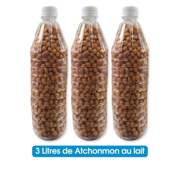 Atchonmon (Chocolat & Lait) - Amuse bouche - 1L