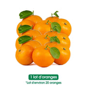 Oranges fraiches - La vingtaine