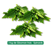 Gboman frais - Epinard - 1Kg