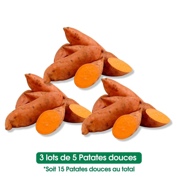 Patate douce - lot de 5 pièces