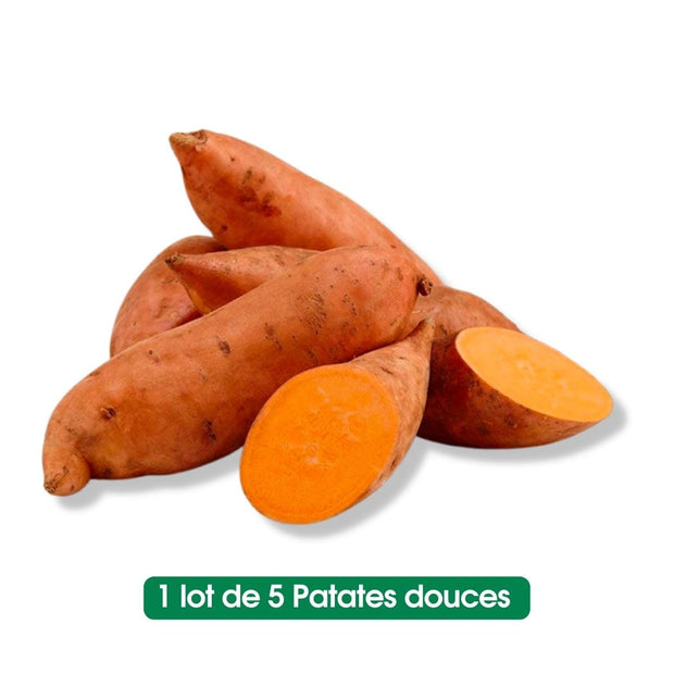 Patate douce - lot de 5 pièces